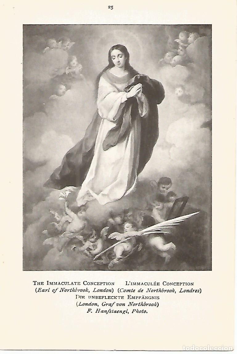 Postcards: Lamina 136: MURILLO. La Inmaculada Concepcion - Varios