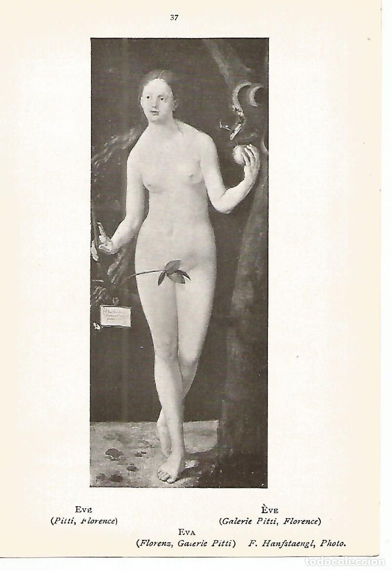 Cartoline: Lamina 330: DURER. Eva - Varios