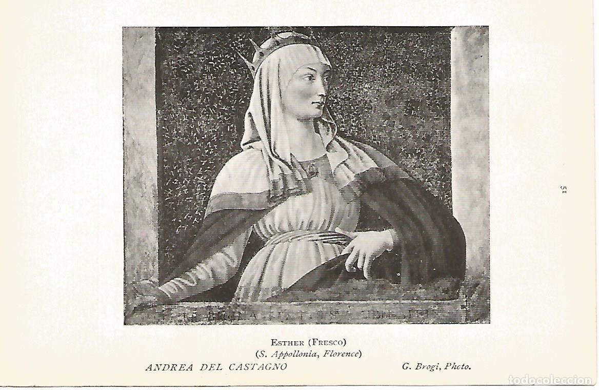 Postkarten: Lamina 399: ANDREA DEL CASTAGNO. Esther - Varios