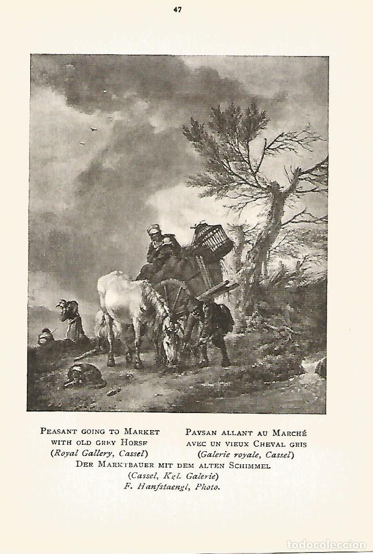 Cartoline: Lamina 428: WOUWERMAN. Mercader yendo al mercado con un caballo viejo - Varios