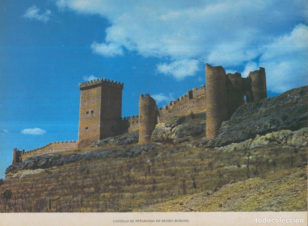 Postkarten: Lamina Castillos de Espa&ntilde;a Edicion 1967 No.041: CASTILLO DE PE&Ntilde;ARANDA (BURGOS) - VARIOS