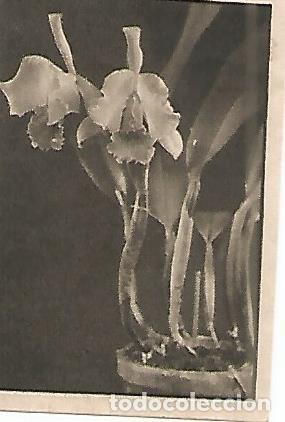 Cartes Postales: CROMO 0029 GALLINA BLANCA 2o ALBUM. Serie 11 Flores. Numero 9 Cattleya hivernalis - Varios