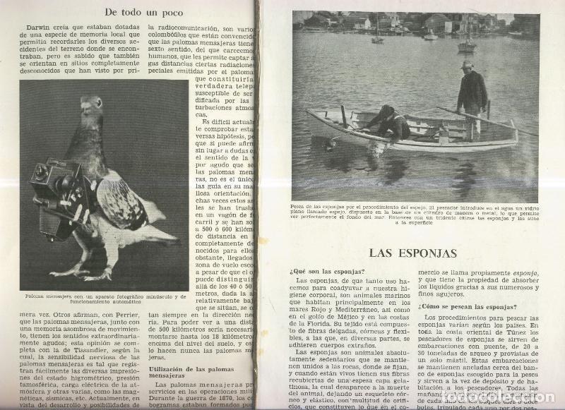 Postkarten: Las esponjas y La orientacion de las palomas mensajeras - Varios