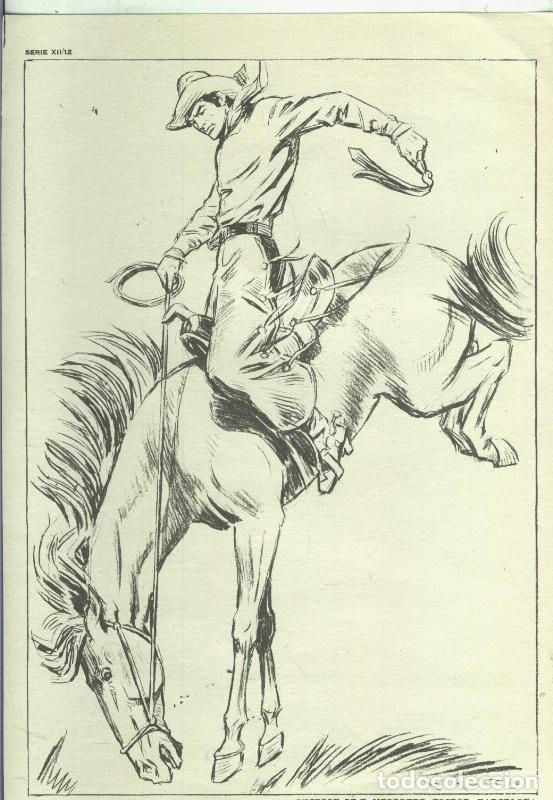Postais: Lamina Emilio Freixas serie XII numero 12: Doma de caballo - Varios
