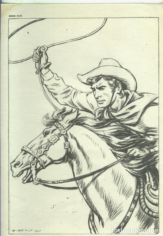 Postkarten: Lamina Emilio Freixas serie XII numero 05: Cowboy - Varios