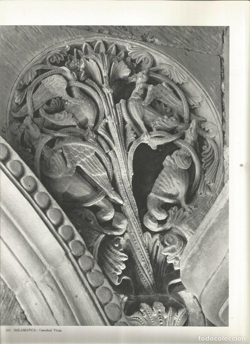 Postcards: Lamina 0096: SALAMANCA. Catedral vieja - Marcel Durliat