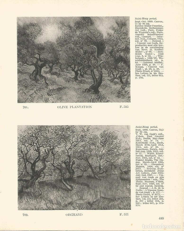 Postcards: LAMINA 1443: VAN GOGH. Olive plantation. Orchard - J.B. de la FAILLE