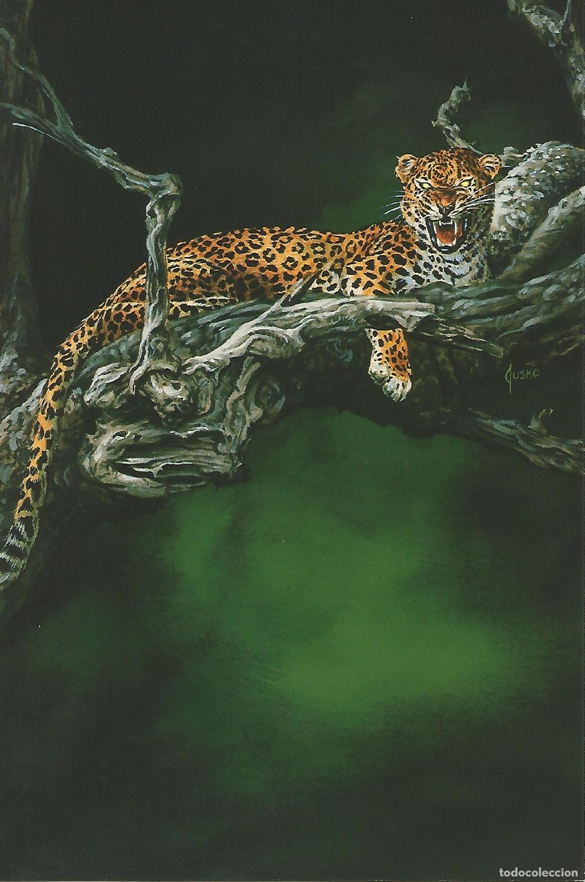 Postales: Colossal Card 19: Joe Jusko. Mottled Fury - Joe Jusko