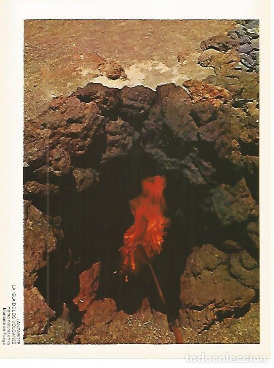 Postais: LAMINA 1702: LANZAROTE. Horno natural en la Monta&ntilde;a de Fuego - VVAA