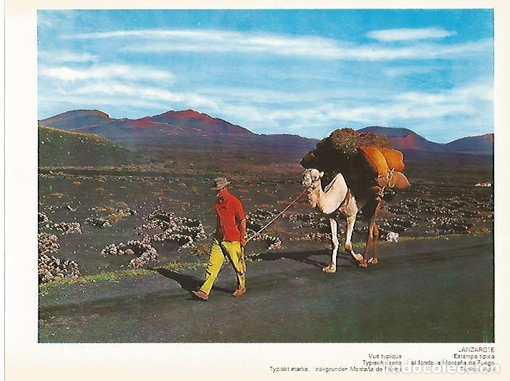 Postcards: LAMINA 1706: LANZAROTE. Estampa tipica - VVAA
