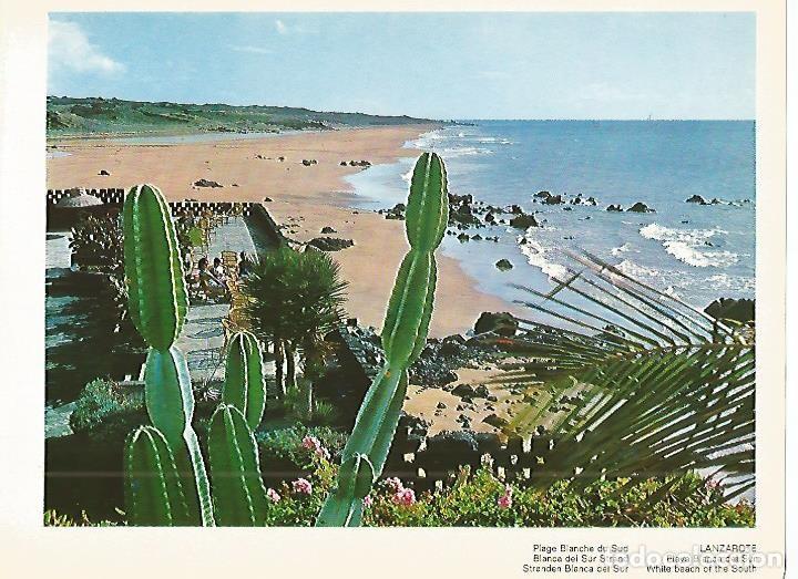 Postais: LAMINA 1724: LANZAROTE. Playa Blanca del Sur - VVAA
