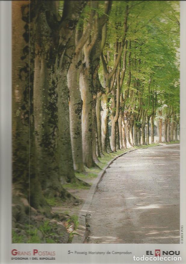 Postais: LAMINA 1830: CAMPRODON. Passeig Maristany - Varios