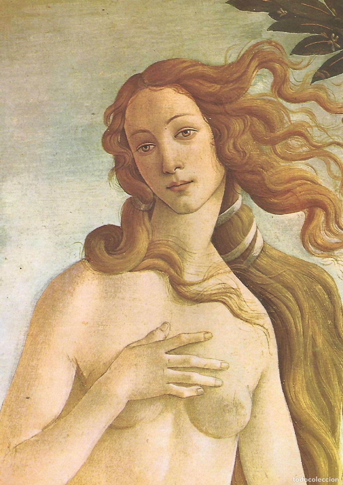 Cartoline: Lamina 073: Sandro Botticelli: El nacimiento de Venus - VV.AA.