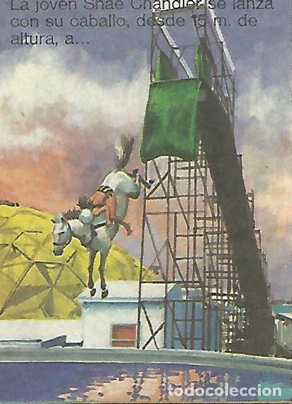 Postales: CROMO BIMBO - El Libro de las Adivinanzas no 89 - Miscelanea deportiva - Varios