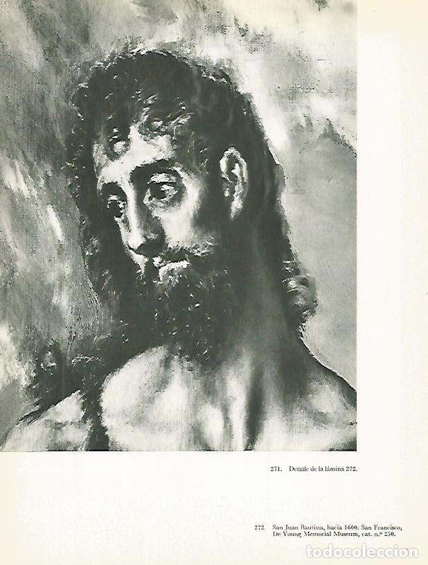 Postales: LAMINA 2080: EL GRECO. San Juan Bautista (detalle) - Harold E. Wethey