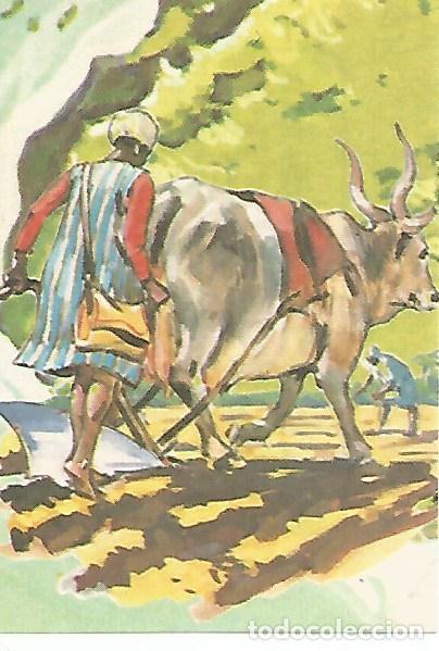 Postales: CROMO BIMBO - El Libro de las Adivinanzas no 122 - Un mundo sin motor - Varios