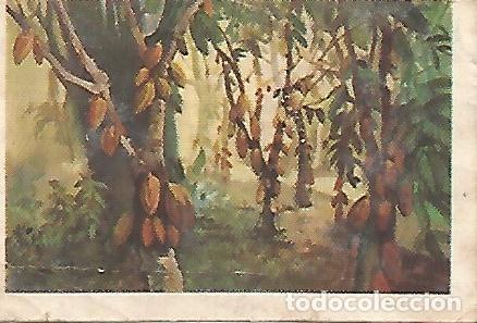 Postales: CROMO NESTLE - Album concurso chocolates Nestle no 103-FI - Varios