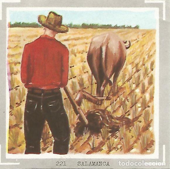Cartoline: CROMO no 221. Salamanca - Varios