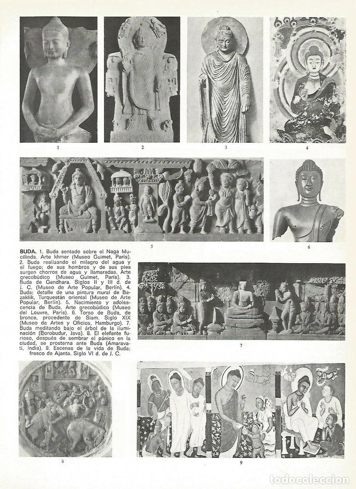 Cartoline: Lamina 037: Buda - Varios