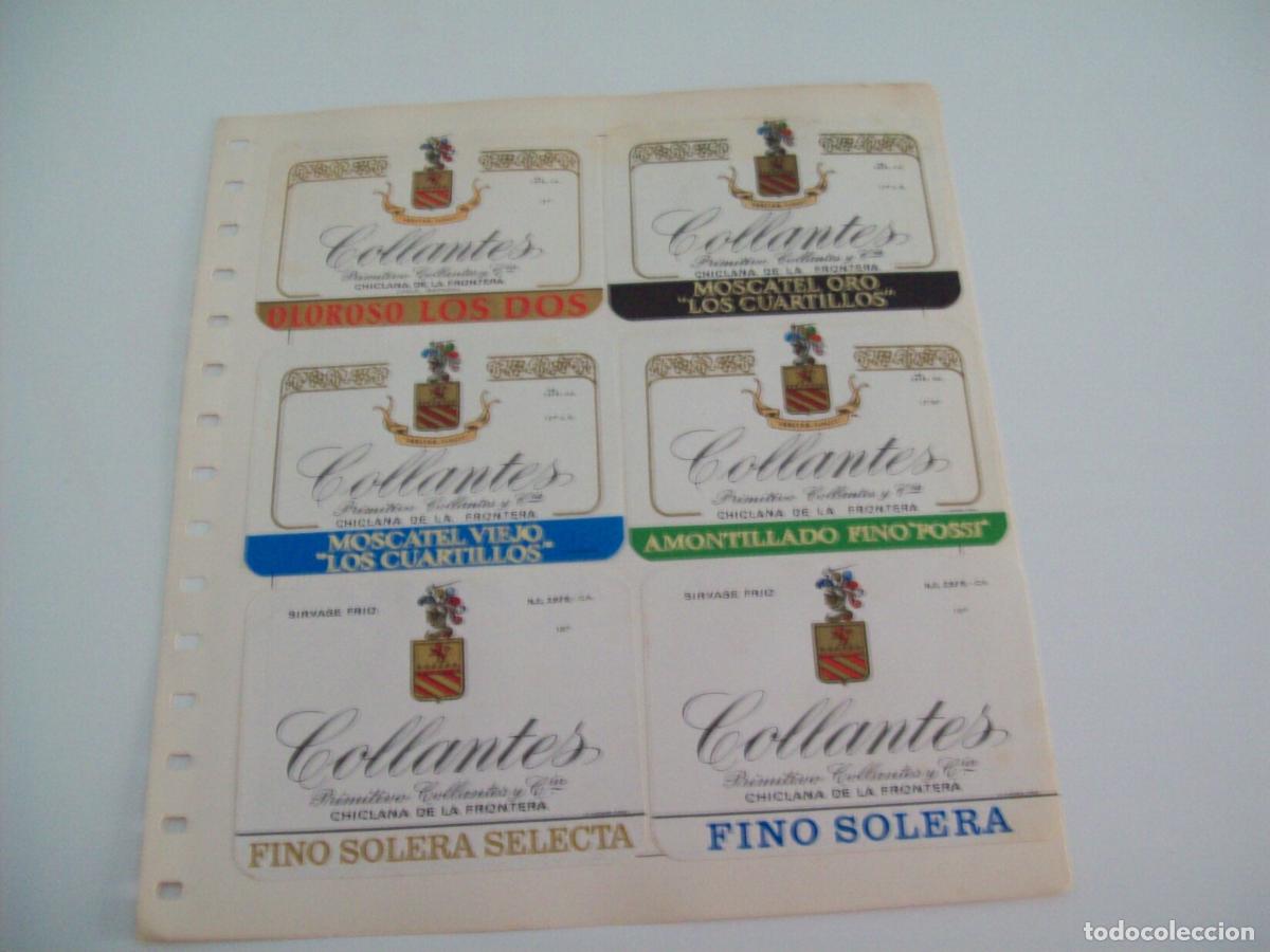 Postkarten: ETIQUETA LICOR 2275: Licores Collantes - Varios