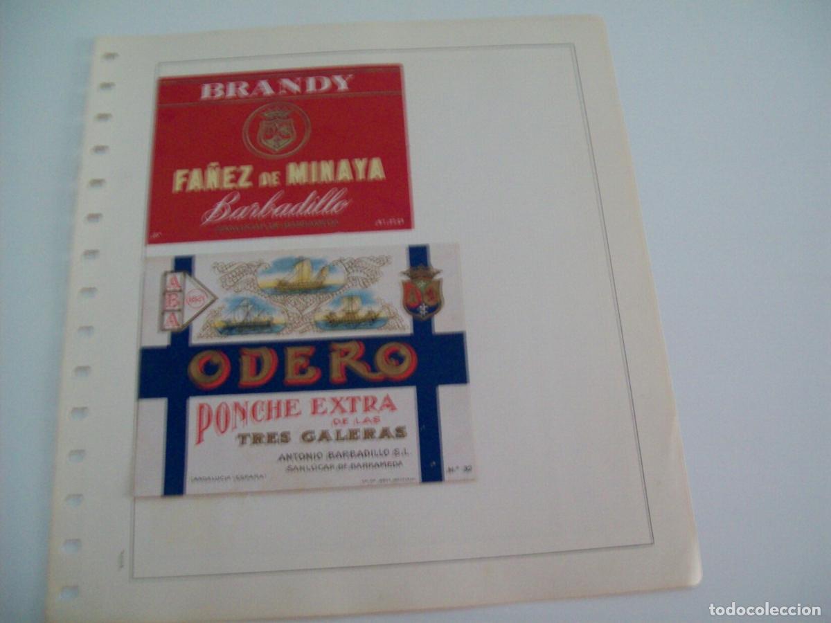 Postkarten: ETIQUETA LICOR 2325: Fa&ntilde;ez de Minaya Odero - Varios