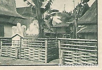 Cartoline: CROMO 00207 GALLINA BLANCA 2o ALBUM. Serie 85 Indonesia. Numero 3 - Varios