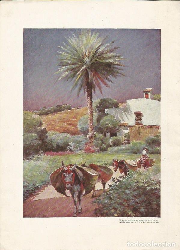 Cartoline: LAMINA 2411: Paisaje andaluz por Garcia Rodriguez - Varios