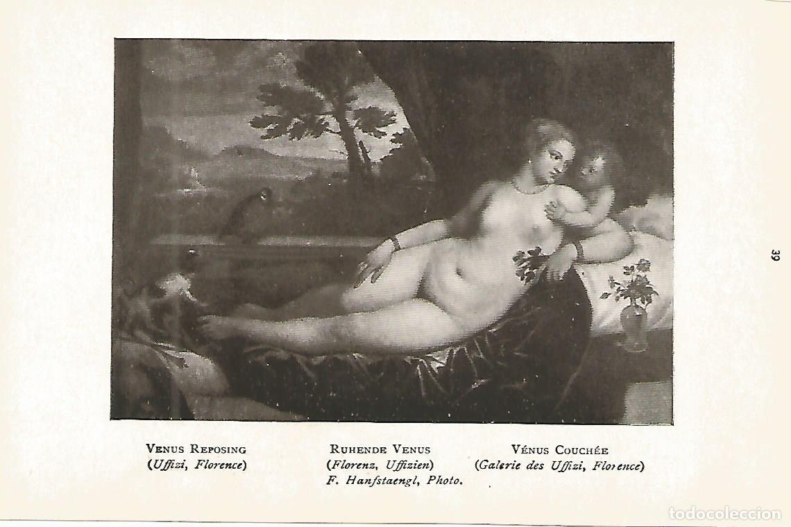 Postkarten: Lamina 269: TIZIANO. Venus - Varios