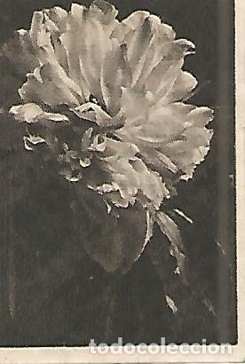 Postkarten: CROMO 0033 GALLINA BLANCA 2o ALBUM. Serie 12 Flores. Numero 4 Peonia - Varios
