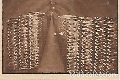 Cartes Postales: CROMO 00188 GALLINA BLANCA 2o ALBUM. Serie 73 Cavas Canals & Nubiola. Numero 7 - Varios