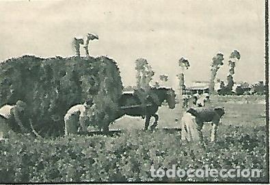 Cartes Postales: CROMO 00185 GALLINA BLANCA 2o ALBUM. Serie 70 Hacienda rural Gallina Blanca. Numero 3 - Varios