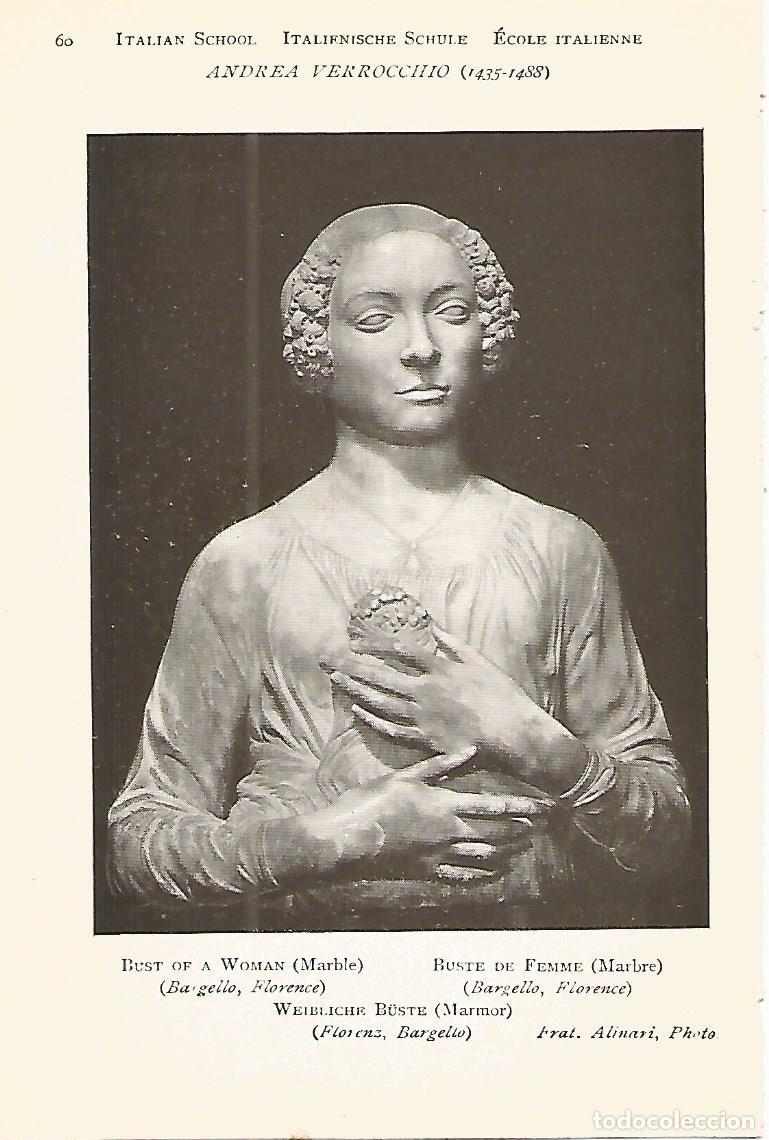 Postkarten: Lamina 924: VERROCCHIO. Busto de mujer - Varios