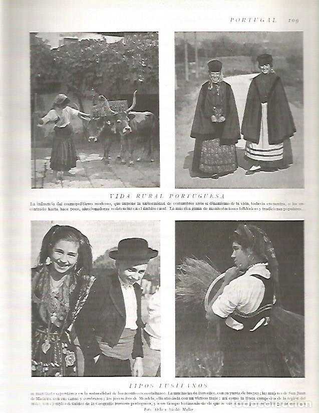 Cartoline: LAMINA 3086: PORTUGAL. Vida rural - Ramon Otero Pedrayo