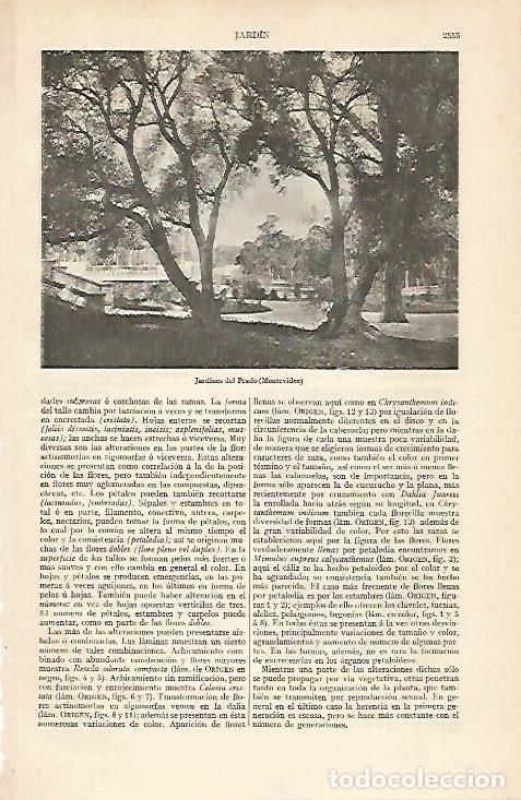 Postkarten: LAMINA ESPASA 6176: Jardines del Prado en Montevideo Uruguay - Varios Autores