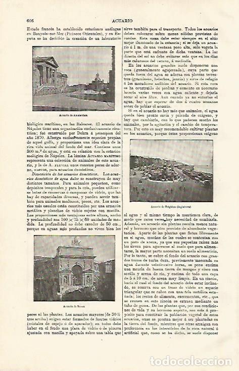 Postkarten: LAMINA ESPASA 8084: Acuario de Amsterdam de Brighton y de Roma - Varios