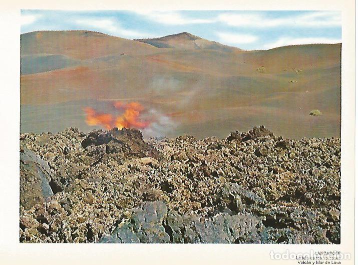 Postais: LAMINA 1714: LANZAROTE. Volcan y Mar de Lava - VVAA