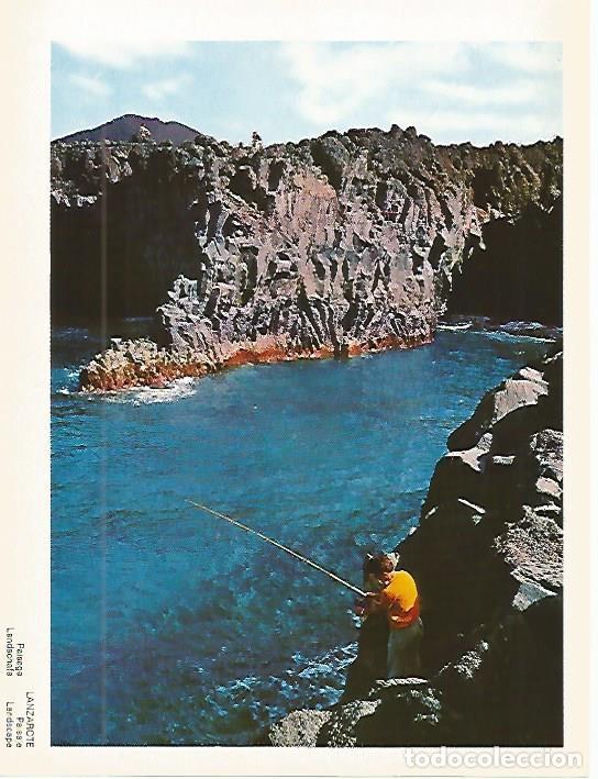 Postcards: LAMINA 1720: LANZAROTE. Paisaje - VVAA