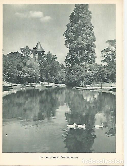 Cartoline: LAMINA 1799: PARIS. Jardin - Andr&eacute; George