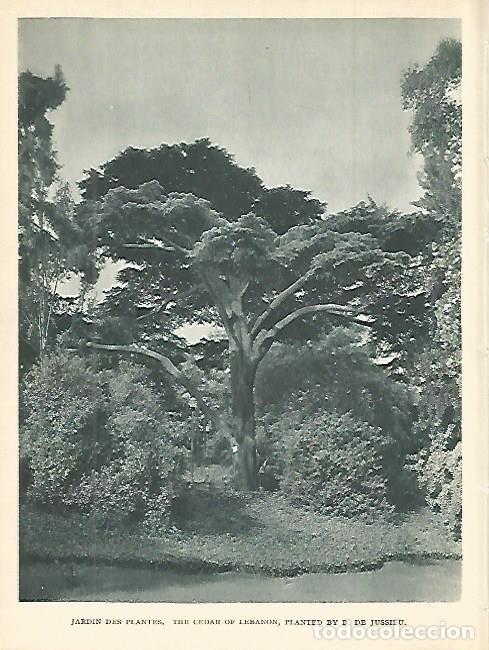 Postcards: LAMINA 1820: PARIS. Jardin de las Plantas - Andr&eacute; George