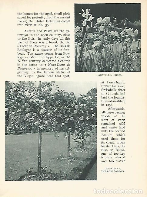 Postales: LAMINA 1802: PARIS. Flores del Bagatelle - Andr&eacute; George
