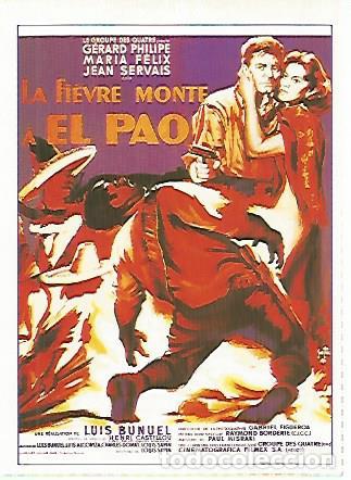 Postales: CROMO CINE 1518: LA FIEBRE SUBE A EL PAO (Luis Bu&ntilde;uel. No estrenada en Espa&ntilde;a) - Varios