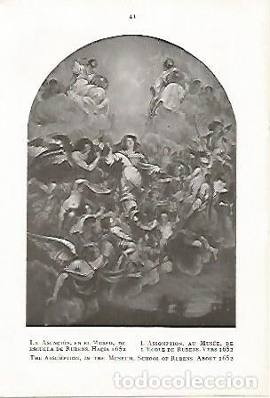 Cartoline: LAMINA 2213: La Asuncion obra de la escuela de Rubens - M. Gomez Moreno