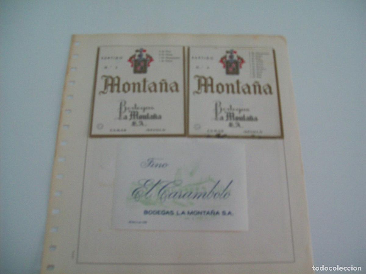 Postcards: ETIQUETA LICOR 2284: Bodegas La Monta&ntilde;a - Varios