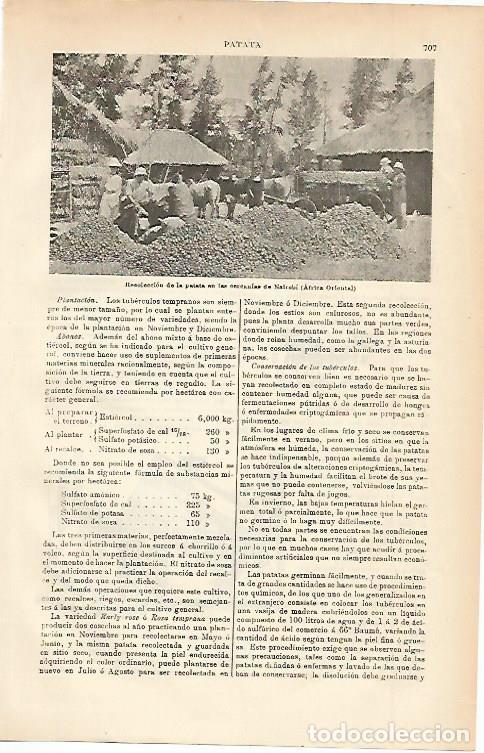 Postkarten: LAMINA ESPASA 2349: Recoleccion de patata en Nairobi Kenya - Varios Autores