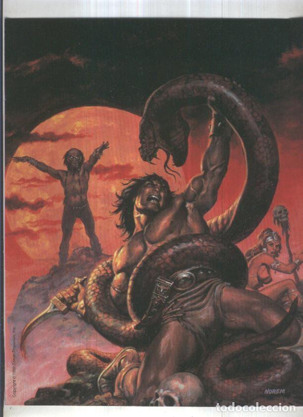 Cartoline: POSTER CONAN: Numero 05 (27,5cm x 21,5cm) - VARIOS