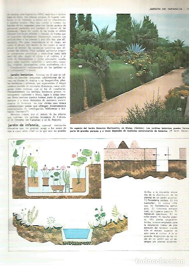 Postais: LAMINA MONITOR 0286: JARDIN BOTANICO MARIMURTRA EN BLANES GIRONA - Varios