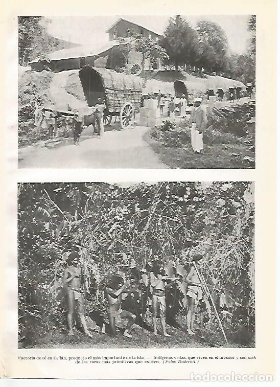 Postales: LAMINA GEOGRAFIA 0035: Factoria de te en Sri Lanka - Ricardo Beltran y Vicente Vera