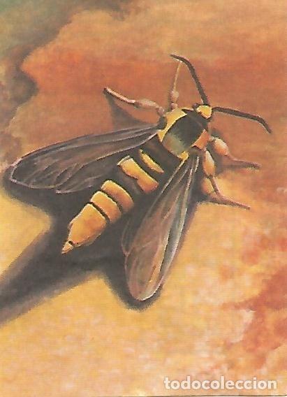 Postales: CROMO BIMBO - El Libro de las Adivinanzas no 229 - Mecanismos de defensa - Varios