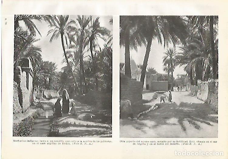 Postales: LAMINA GEOGRAFIA 0163: Mujeres en el oasis de Biskra Argelia - Ricardo Beltran y Vicente Vera