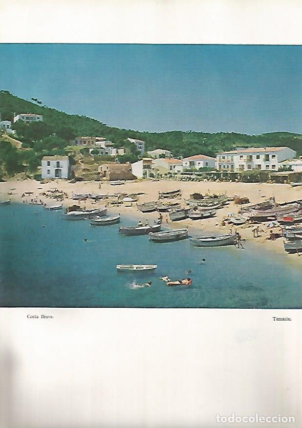 Postais: LAMINA 4936: TAMARIU (GIRONA) - Jaime Ministral Masia